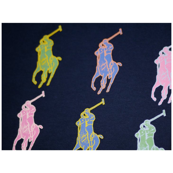 POLO RALPH LAUREN BOYS PONY GRAPHIC TEE