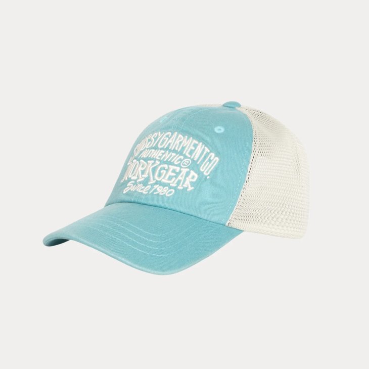 STUSSY LOW PROFILE WORKGEAR STRAPBACK