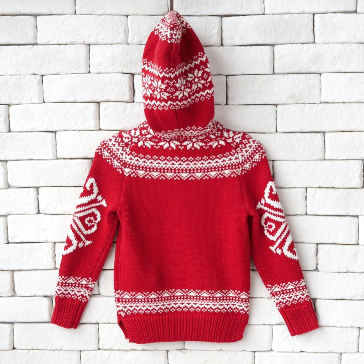 POLO RALPH LAUREN BOYS POLO BEAR HOODIE