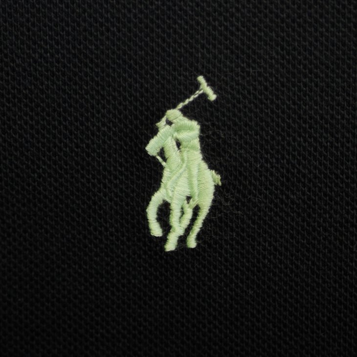 POLO RALPH LAUREN THE EARTH CUSTOM SLIM FIT POLO SHIRT