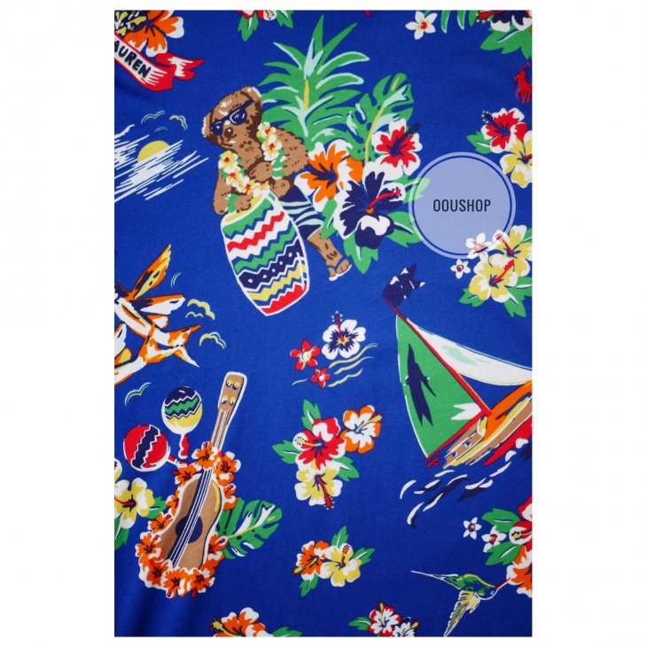 POLO RALPH LAUREN CLASSIC FIT POLO BEAR T-SHIRT