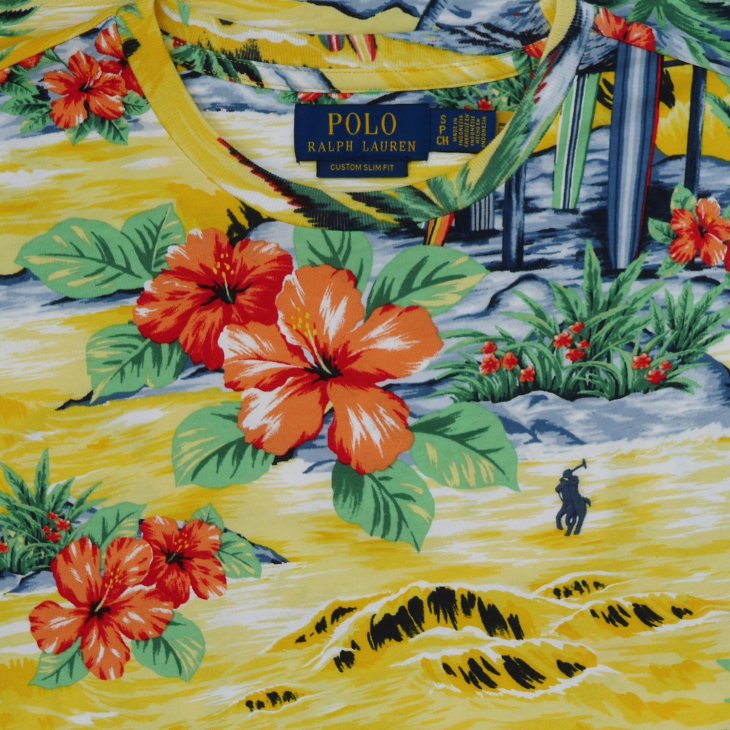 POLO RALPH LAUREN CUSTOM SLIM FIT BEACH-PRINT JERSEY T-SHIRT
