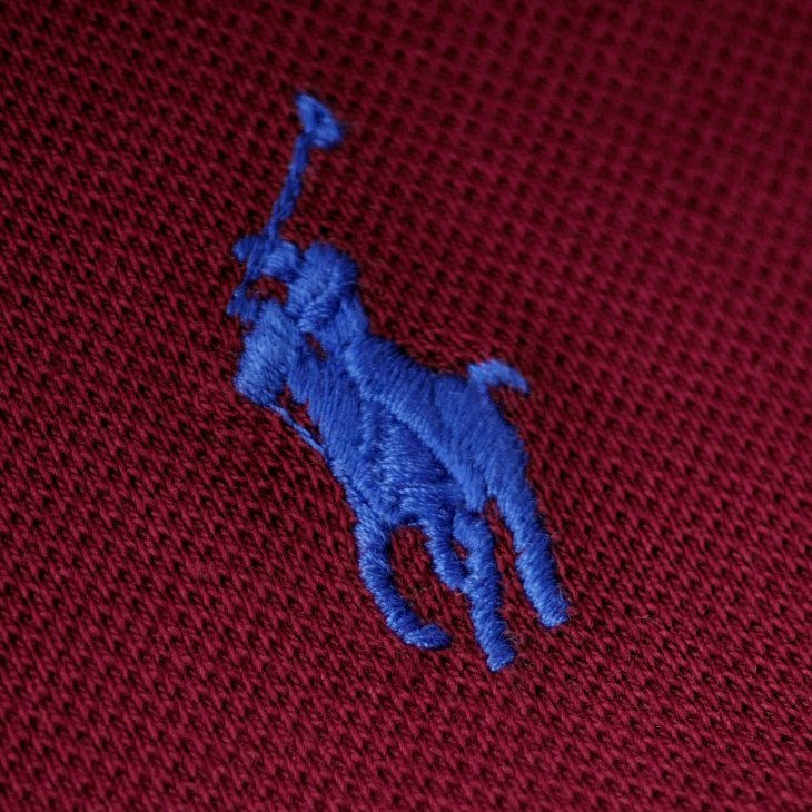POLO RALPH LAUREN THE EARTH CUSTOM SLIM FIT POLO SHIRT
