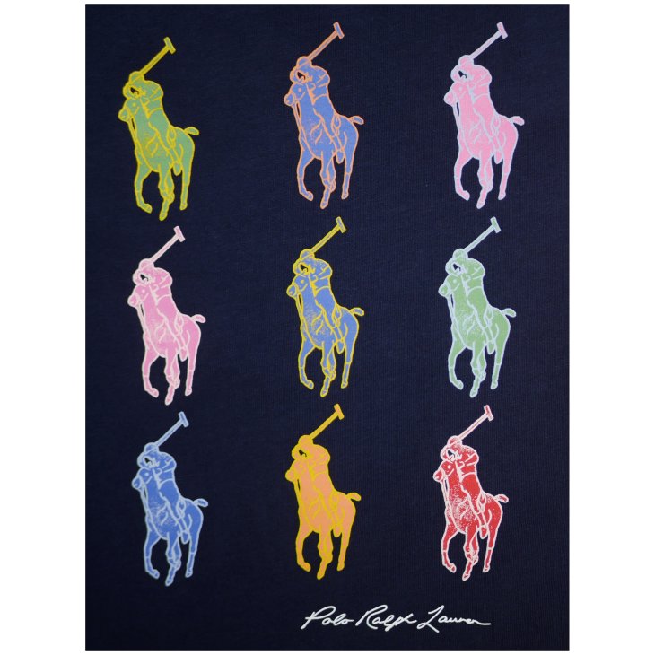 POLO RALPH LAUREN BOYS PONY GRAPHIC TEE
