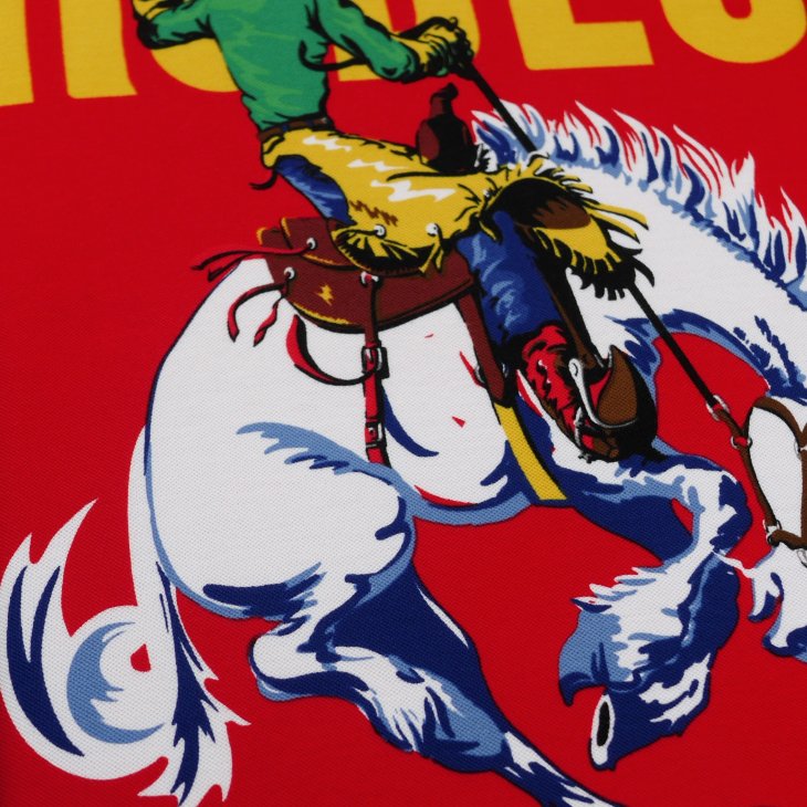 POLO RALPH LAUREN CLASSIC FIT MESH GRAPHIC POLO SHIRT