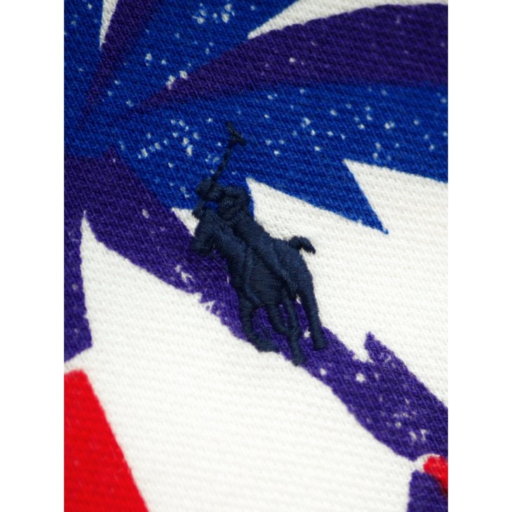 POLO RALPH LAUREN CLASSIC FIT MESH GRAPHIC POLO SHIRT