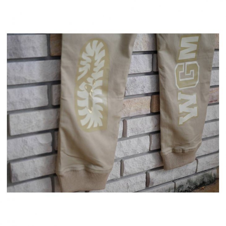 BAPE WGM SHARK SLIM SWEATPANTS