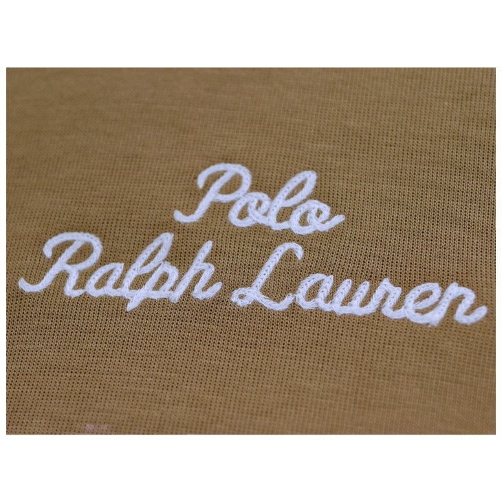 POLO RALPH LAUREN LOGO DOUBLE KNIT HOODIE
