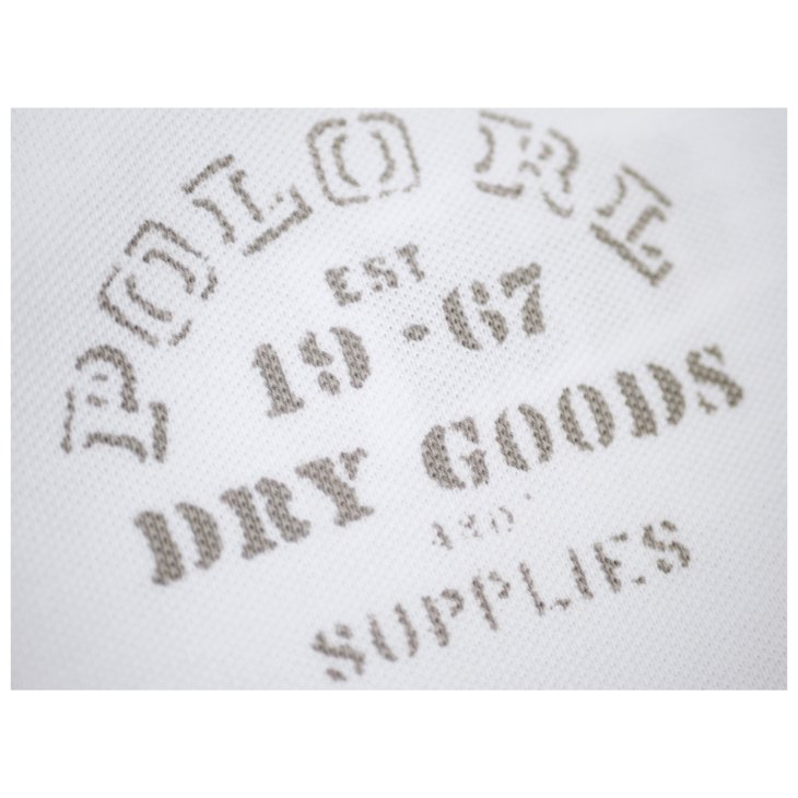 POLO RALPH LAUREN CLASSIC FIT GRAPHIC POLO SHIRT