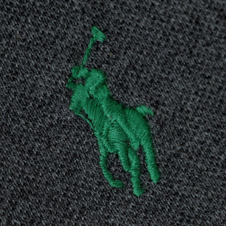 POLO RALPH LAUREN THE EARTH CUSTOM SLIM FIT POLO SHIRT